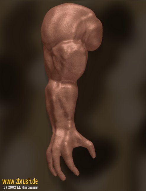 arm.jpg