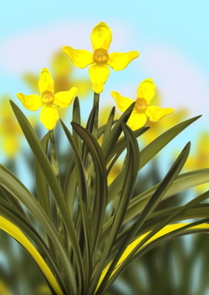 user_img-9Xk9nKeFYU_blumen.jpg