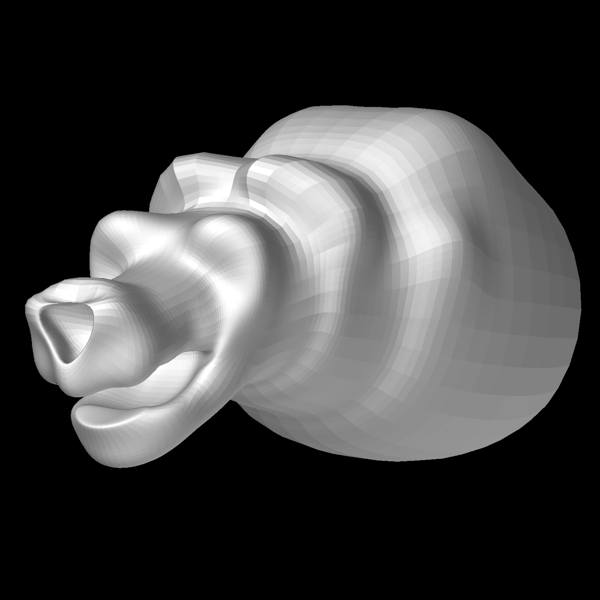 user_img-AYIDQUL2VM_tiger_anfang.jpg