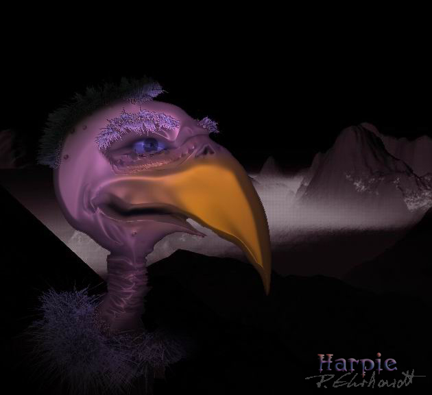 user_img-iWhFYTCSc8_Vogel2.jpg