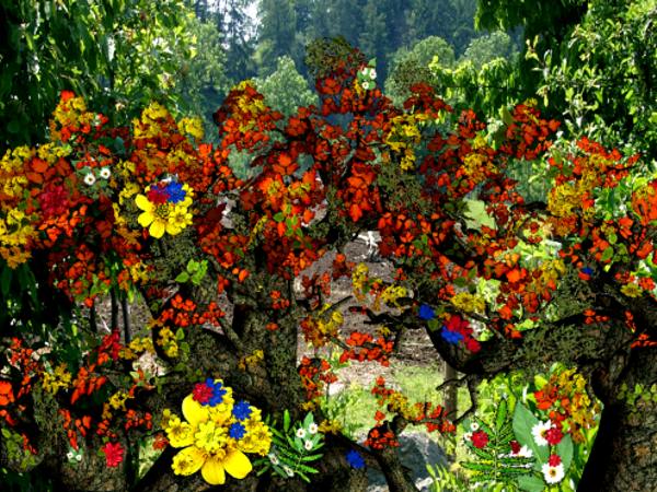 user_img-CvgzmXCpIe_baum1.jpg