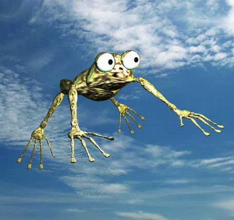 user_img-YIWBO5WOvJ_frog3.JPG