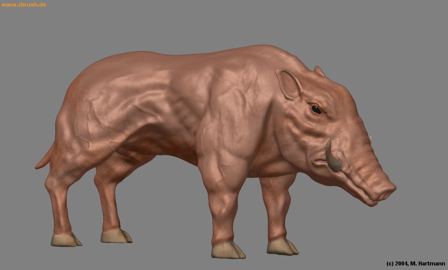 user_img-kTaWLnT3nd_pig.jpg