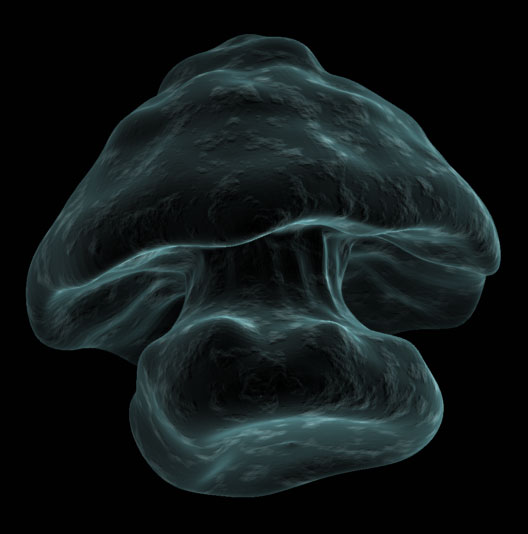 user_img-4NLGijJv0G_micro_pilz.jpg