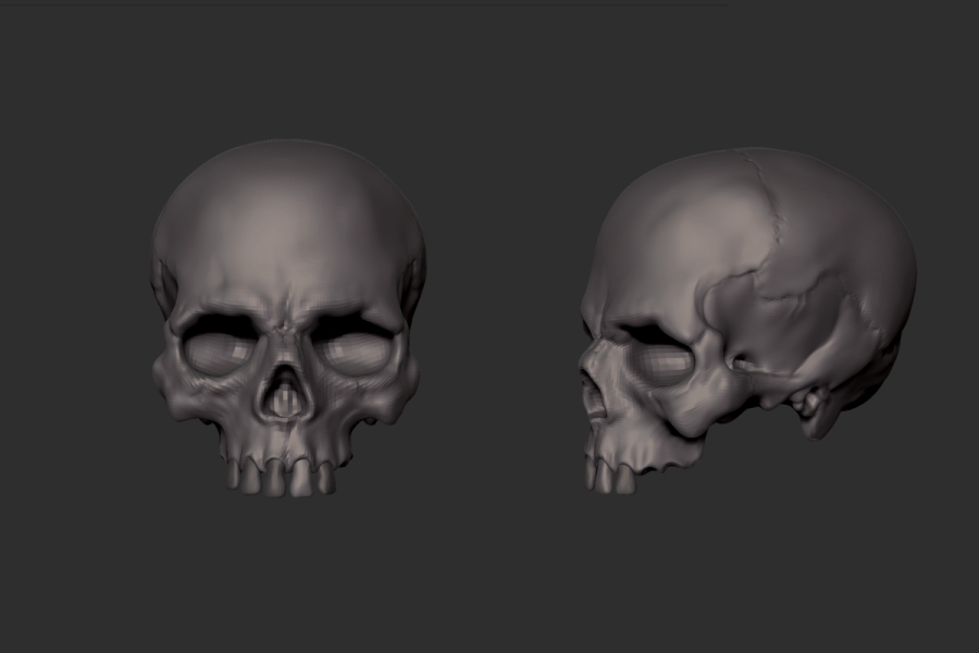 user_img-66lCT6cIsY_skull_zbrush.jpg