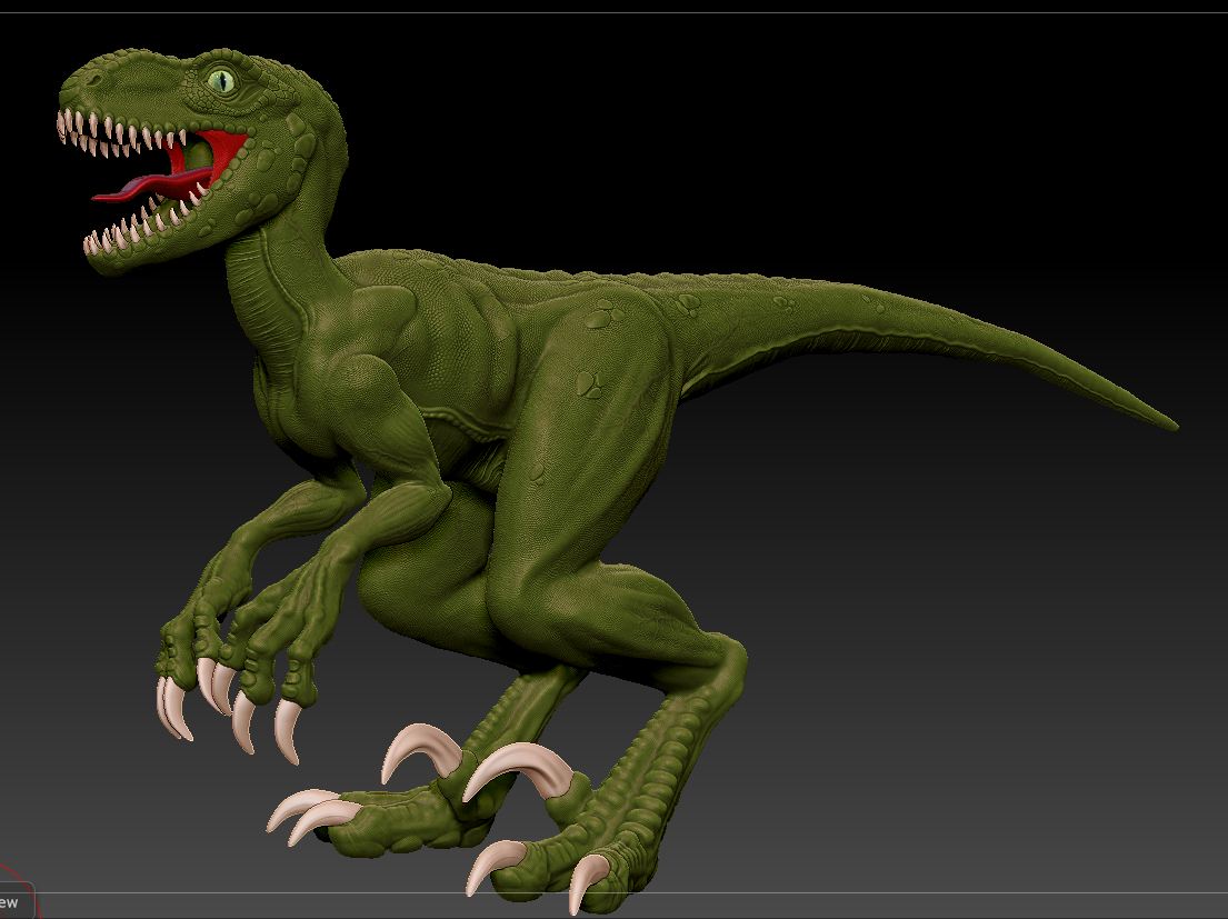 user_img-Qdh3bAfD5R_Raptor-highres.JPG