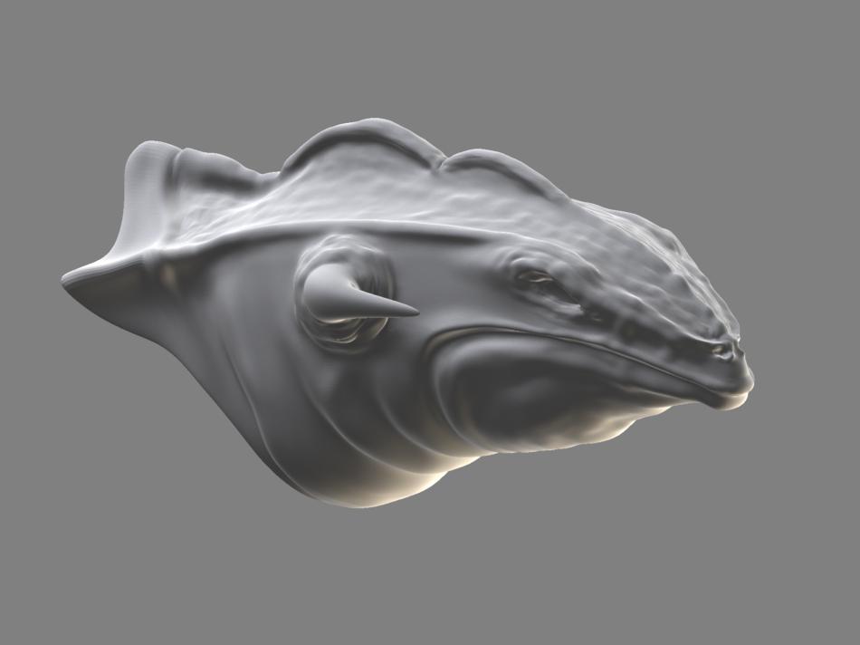 user_img-tBsXgzs6ak_lizard.JPG